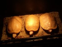 2010-10-27 21.53.38.jpg