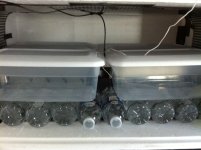incubator.JPG