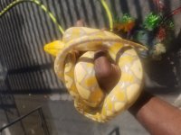 20180726_163602.jpg