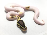 DF04D562-E407-4002-AC9D-B81A3261CB6E.jpg