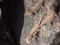 20180625_154815.jpg