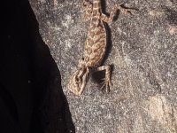20180625_154114.jpg
