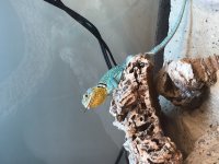 59AB60E8-2D7E-4DE7-BD15-DF6B00E5933E.jpg