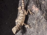 20180625_154531.jpg