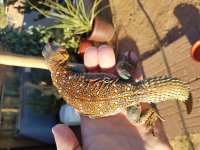 20180610_183620.jpg