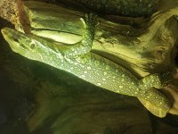 20180902_081415.jpg