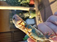 20180610_183657.jpg