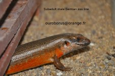 DSC_0156.jpg