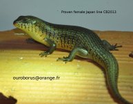 DSC_0023.jpg