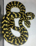 rps20180823_205300.jpg