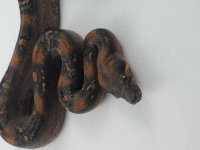 20180809_095533.jpg