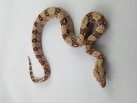 20180809_095604.jpg