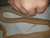 20180527_193637.jpg