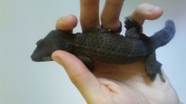 20180620_152859.jpg