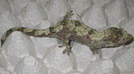 IMG_6708.jpg