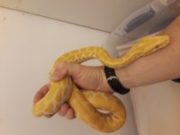 20180617_115954.jpg