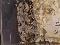 20181009_123554.jpg