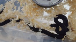20180709_184925.jpg