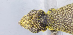 20180626_184504.jpg