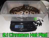 PicsArt_01-16-12.11.33.jpg