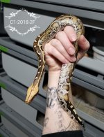 Screenshot_20181117-220427_Gallery.jpg