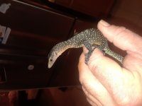 20180823_111825.jpg
