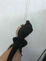 black dragon male 1.jpg