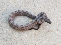 thumbnail (4).jpg