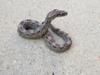 thumbnail (5).jpg