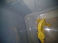 0904180110.jpg