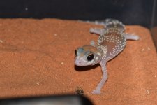 DSC_0767.jpg