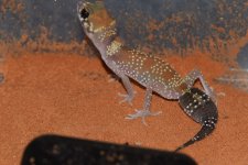 DSC_0759.jpg