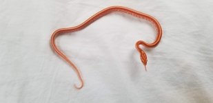 18B0004.jpg
