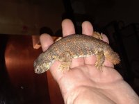 20180802_125919.jpg