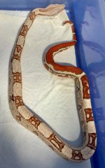 IMG_0922.jpg