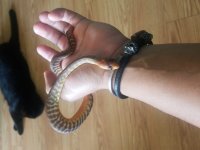 20180812_172057.jpg