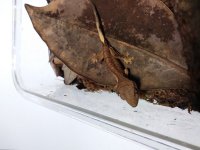 20180812_121740.jpg