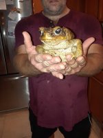 fat frog keven_edited-1.jpg
