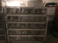 CAGE1.png