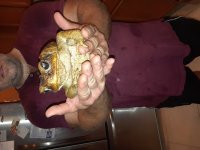 20180627_001852.jpg