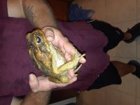 20180627_001819.jpg