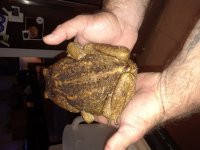 20180627_001902.jpg