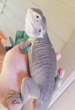 20180904_164241.jpg