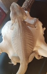 20180904_164127.jpg