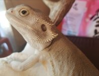 20180904_164032.jpg