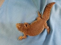 20180824_142045.jpg
