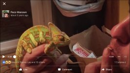 3A641155-ECAE-40BC-83D1-B59E7002CBD3.jpg