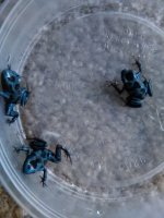 IMG_20181210_160619.jpg