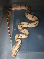 unnamed (3).jpg