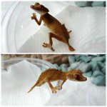 PicMonkey Collage.jpg